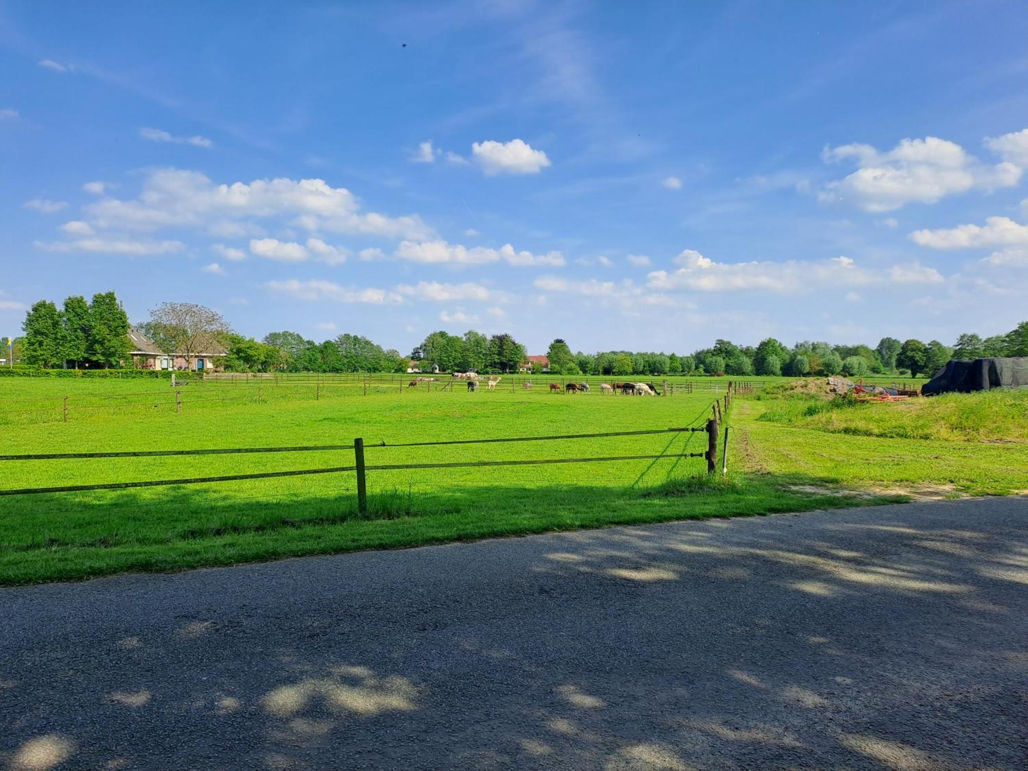De Platwever 3b Apartment *